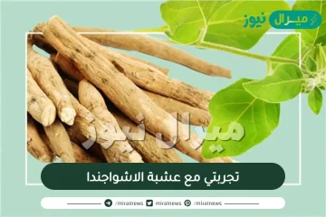 تجربتي مع عشبة الاشواجندا