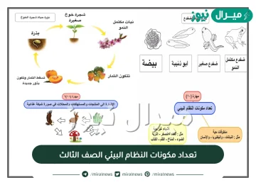 تعداد مكونات النظام البيئي الصف الثالث