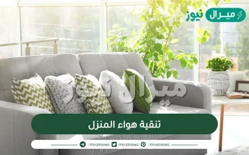 طرق طبيعية لتنقية هواء المنزل