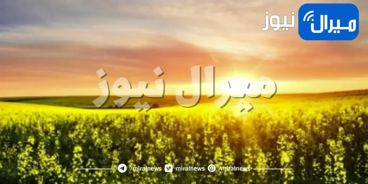حالات الاكتئاب الموسمي الصيفي