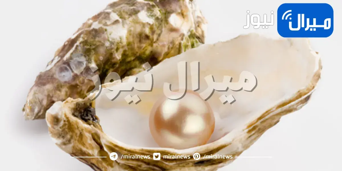 حقائق شيقة عن اللؤلؤ