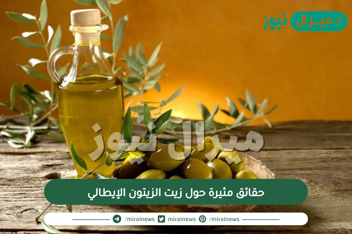 حقائق مثيرة حول زيت الزيتون الإيطالي