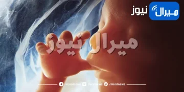 حيل بسيطة حتى يتحرك الجنين داخل الرحم