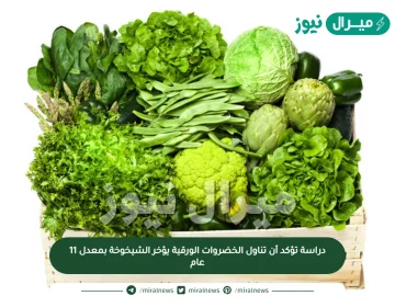دراسة تؤكد أن تناول الخضروات الورقية يؤخر الشيخوخة بمعدل 11 عام