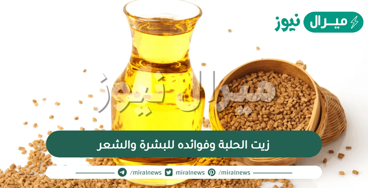 زيت الحلبة وفوائده للبشرة والشعر وتكبير حجم الثدي