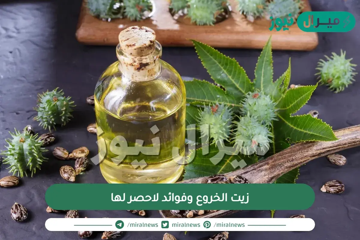 زيت الخروع وفوائد لاحصر لها