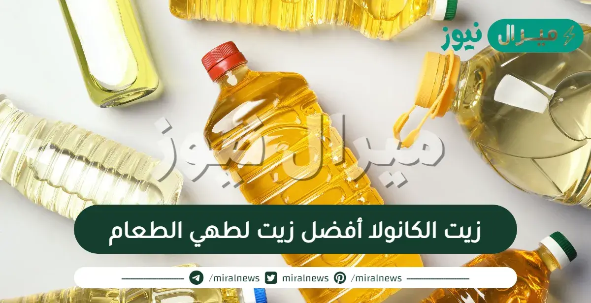 لماذا يعد زيت الكانولا أفضل زيت لطهي الطعام