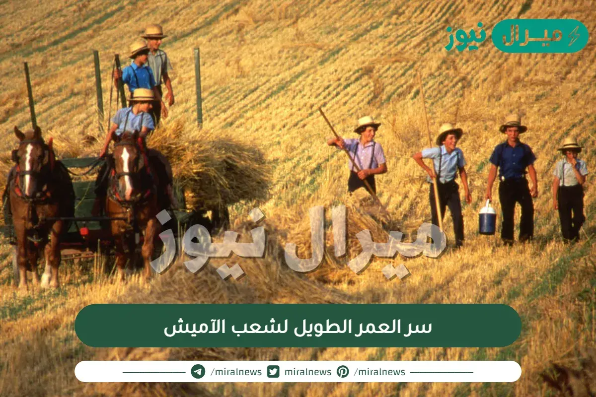 سر العمر الطويل لشعب الآميش