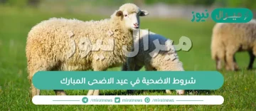 شروط الاضحية في عيد الاضحى المبارك وشروط المضحي