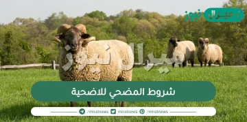 شروط المضحي للاضحية