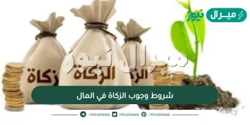 شروط وجوب الزكاة في المال