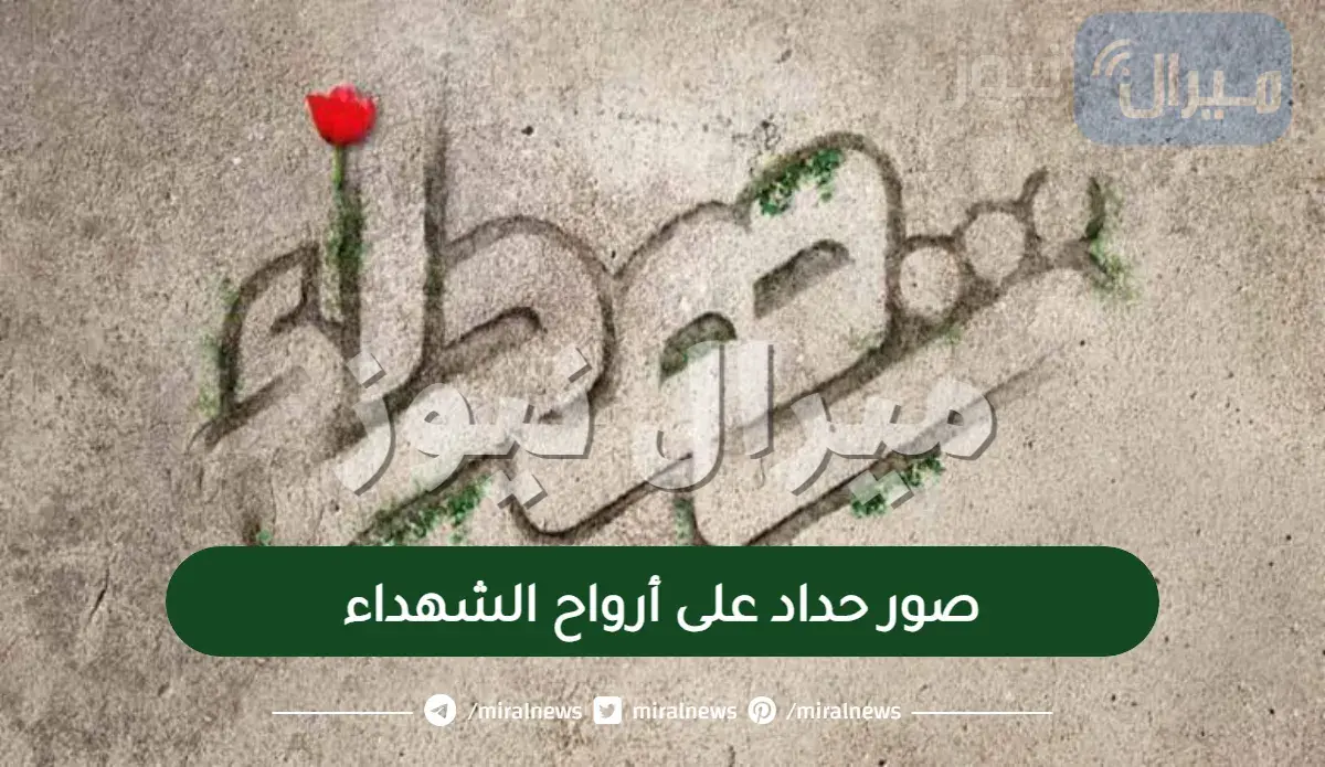 أحدث صور حداد على أرواح الشهداء