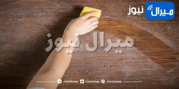 طرق بسيطة للتخلص من الغبار في منزلك