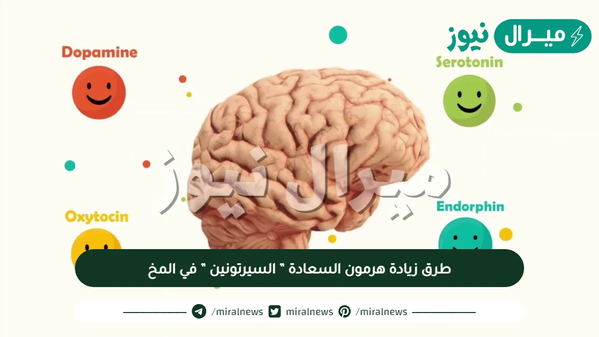 طرق زيادة هرمون السعادة ” السيرتونين ” في المخ