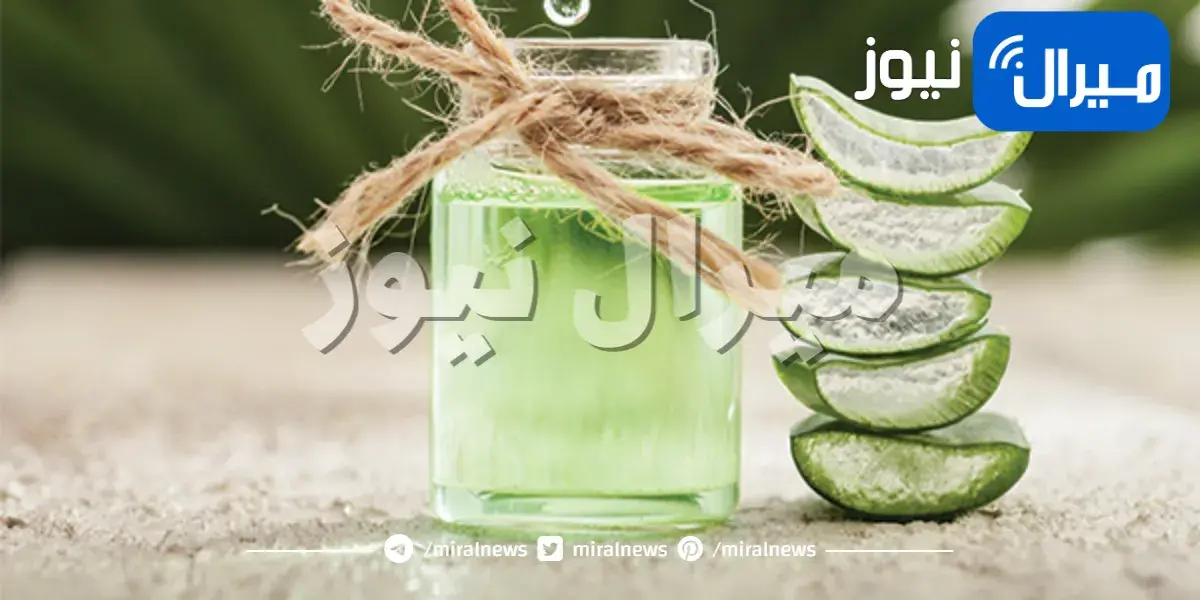 طريقة ترطيب الشعر باستخدام هلام صبار الألوفيرا