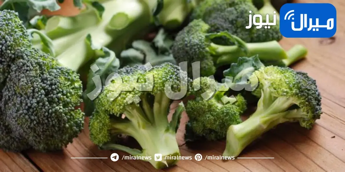 طريقة زراعة البروكلي في حديقتك