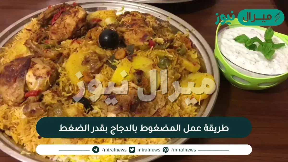 طريقة عمل المضغوط بالدجاج بقدر الضغط