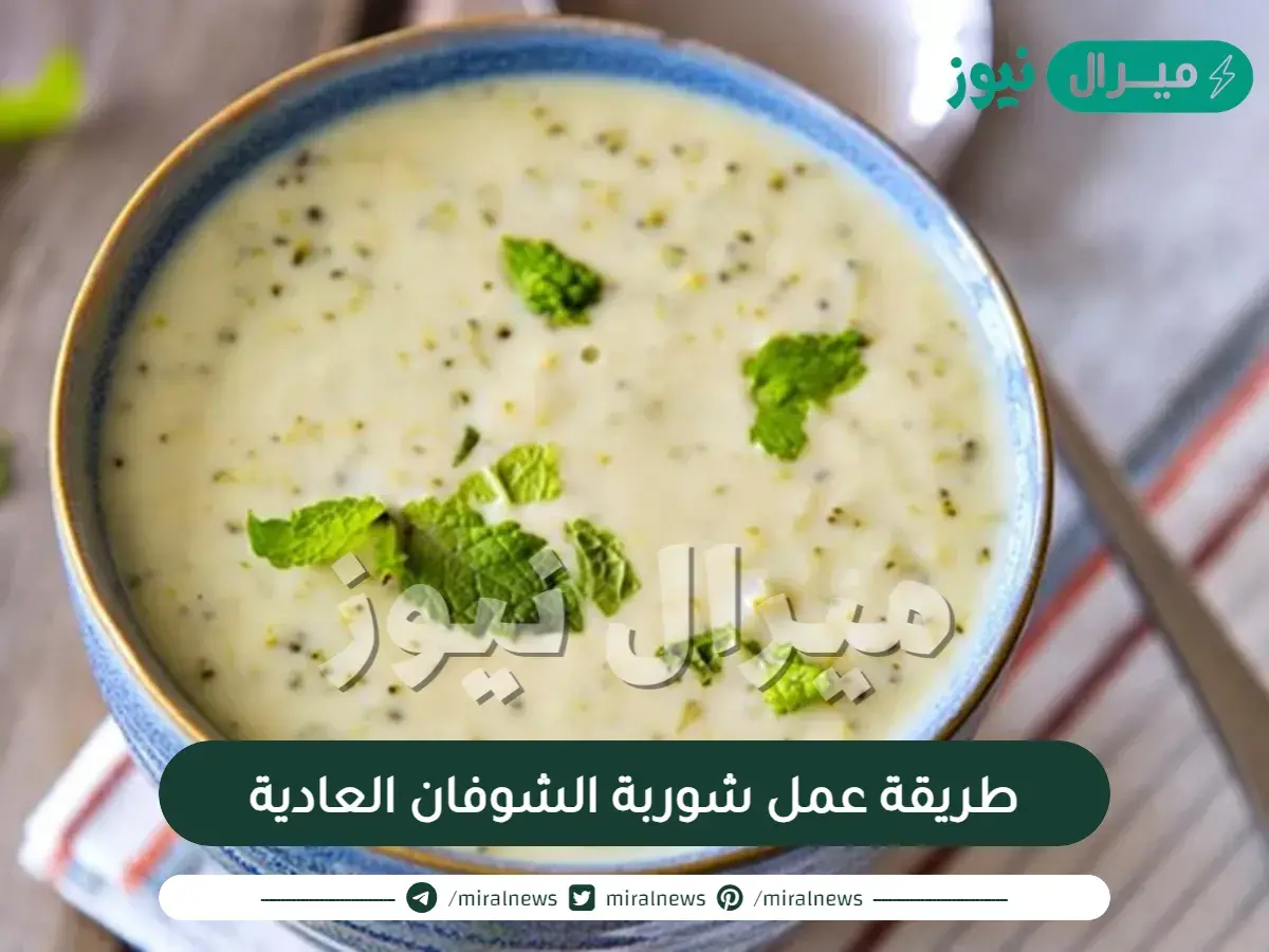 طريقة عمل شوربة الشوفان العادية