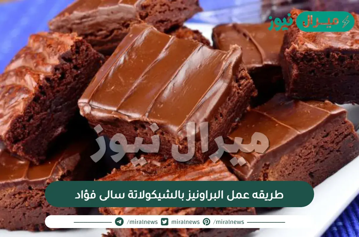 طريقه عمل البراونيز بالشيكولاتة سالى فؤاد
