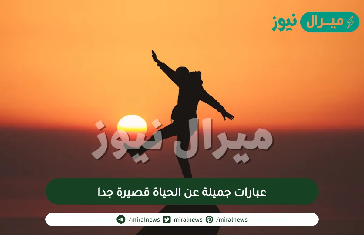 عبارات جميلة عن الحياة قصيرة جدا