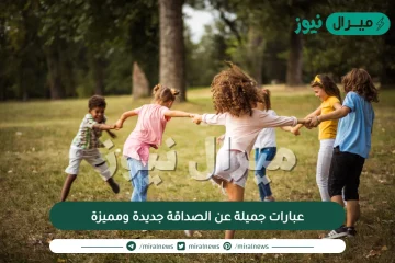 عبارات جميلة عن الصداقة جديدة ومميزة