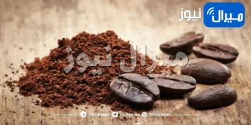 فوائد استخدام مسحوق القهوة كسماد عضوي للتربة