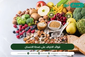 فوائد الالياف على صحة الانسان