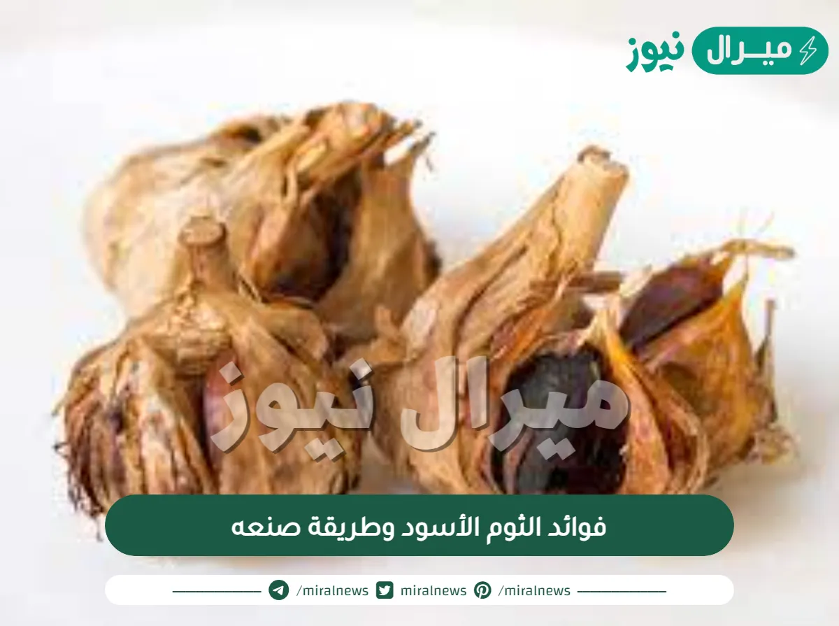 فوائد الثوم الأسود وطريقة صنعه
