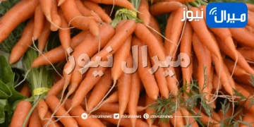 فوائد الجزر الصحية