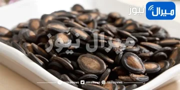 فوائد عظيمة لبذور البطيخ