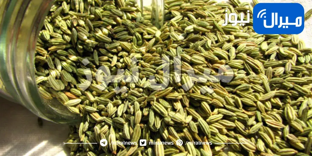 فوائد مذهلة لشاي الشمر