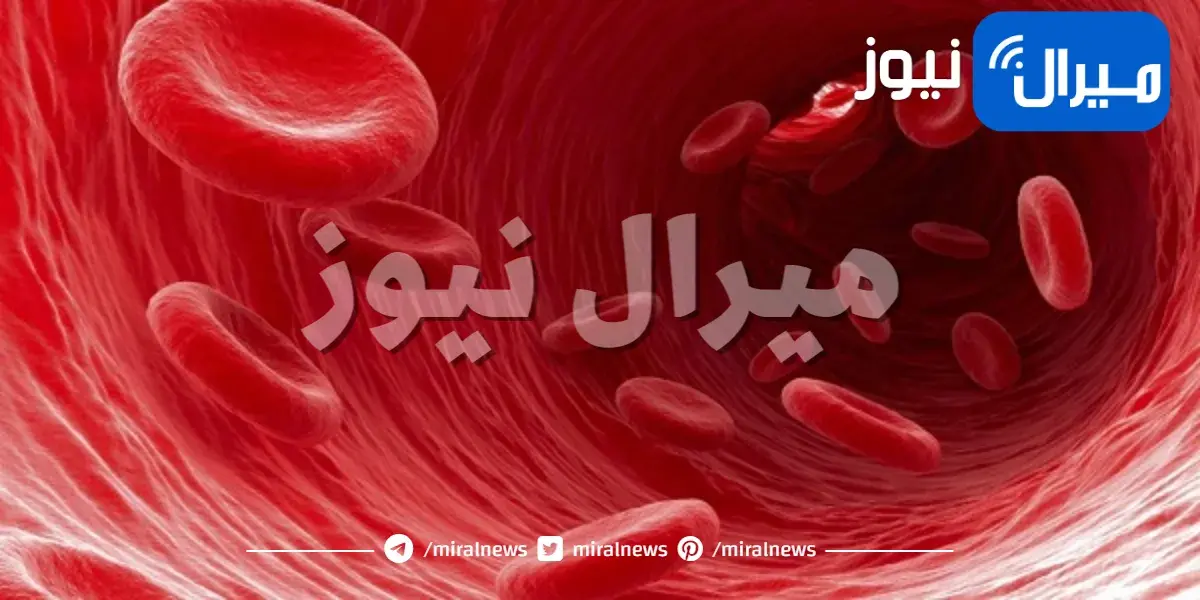 كل ما يجب أن تعرفه عن الأنيميا
