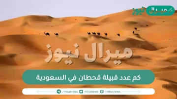 كم عدد قبيلة قحطان في السعودية