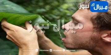 كم من الوقت يستطيع أن يعيش الإنسان بدون ماء أو هواء أو طعام