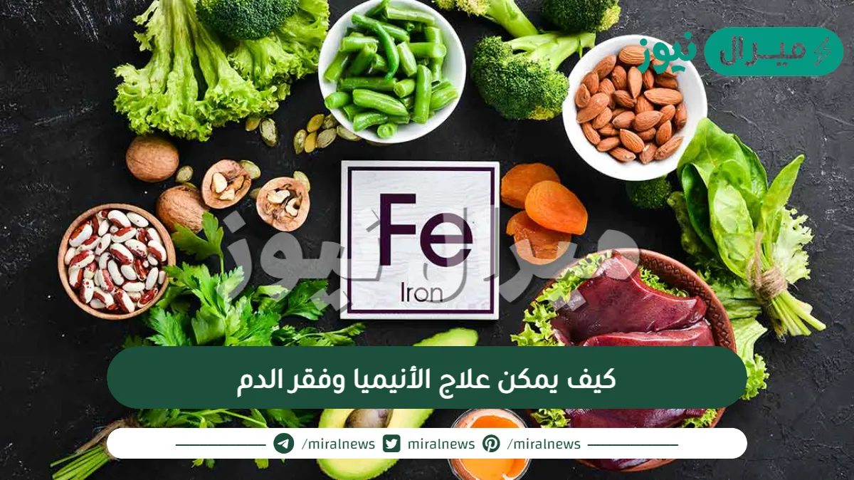 كيف يمكن علاج الأنيميا وفقر الدم