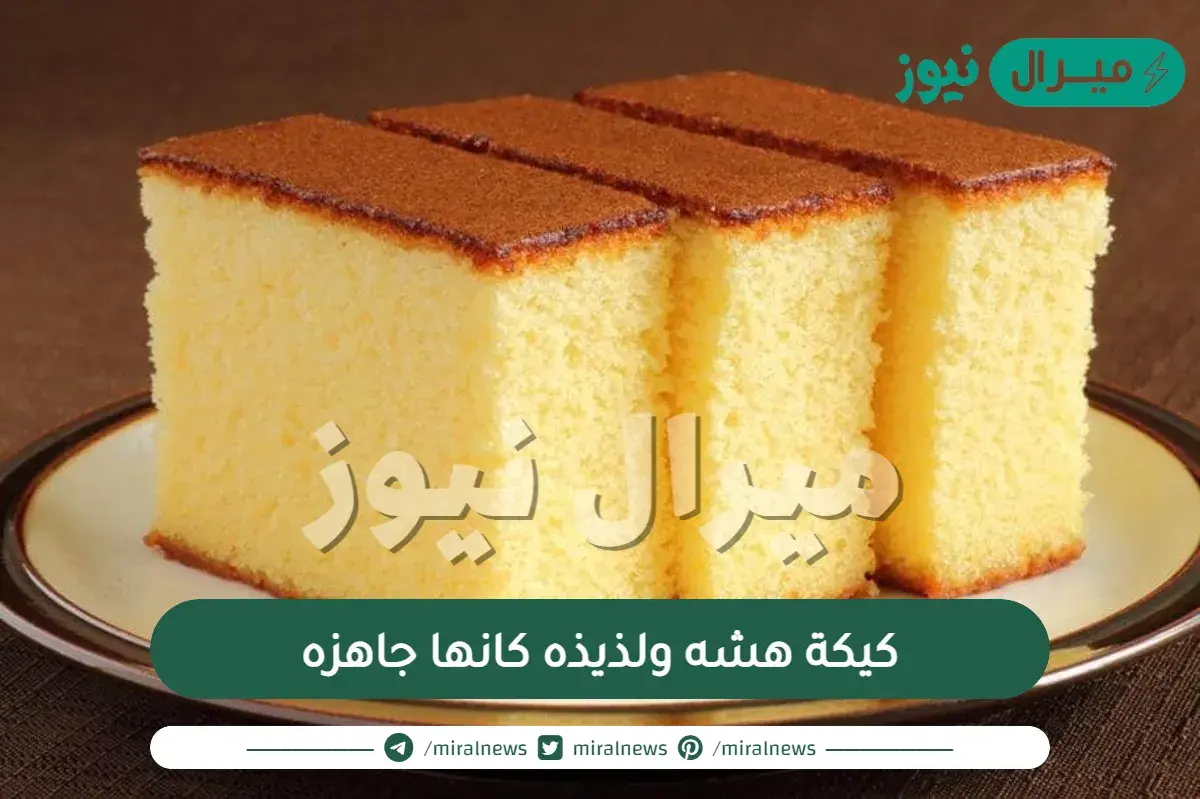 كيكة هشه ولذيذه كانها جاهزه