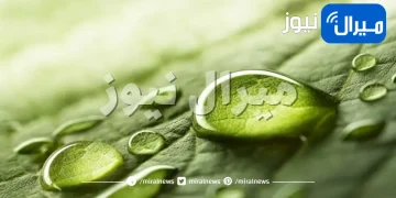 ما هو الماء ؟