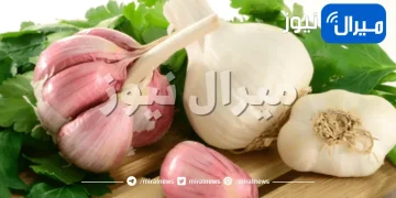 ما هو سبب رائحة الثوم الكريهة وكيف تتخلص منها