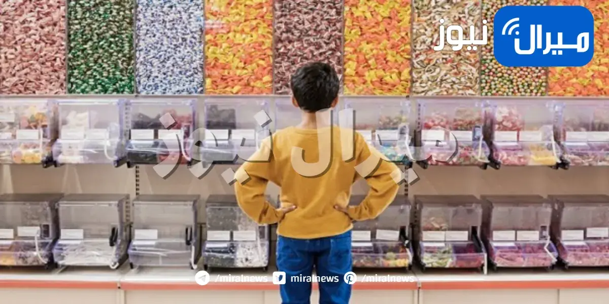 ما هو نظام التغذية البديهية