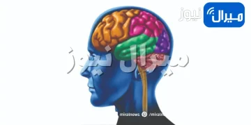 ما هي متلازمة السيروتونين