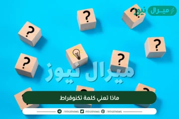 ماذا تعني كلمة تكنوقراط