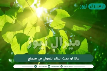 ماذا لو حدث البناء الضوئي في مصنع