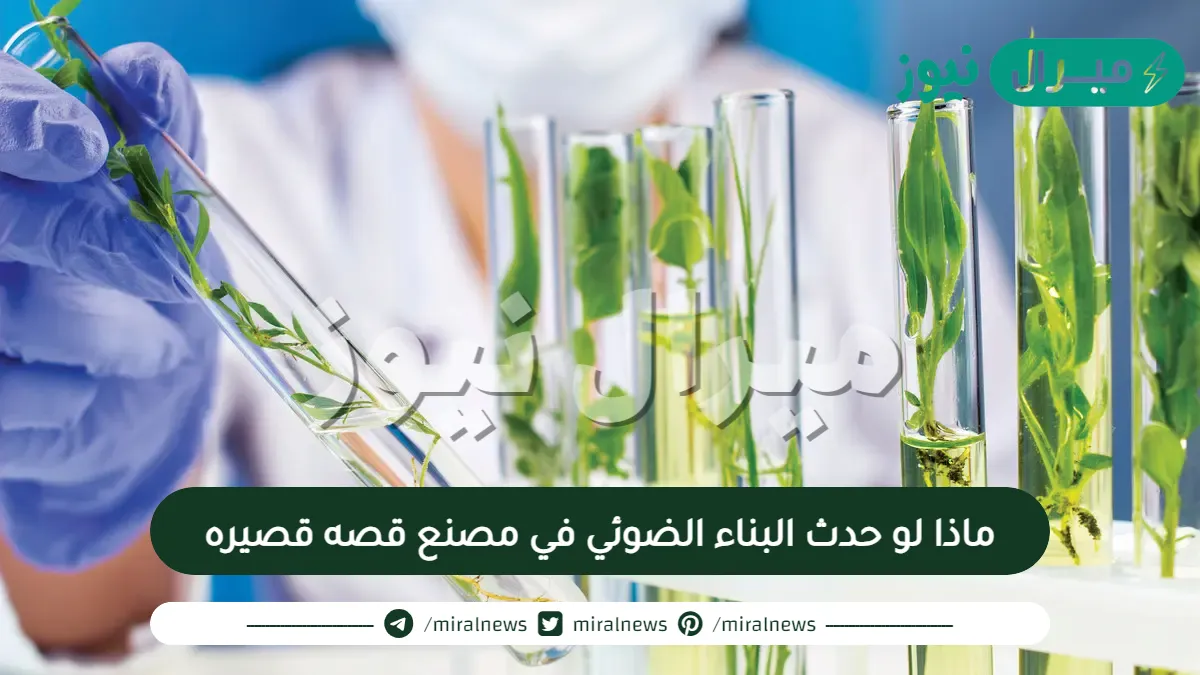 ماذا لو حدث البناء الضوئي في مصنع قصه قصيره