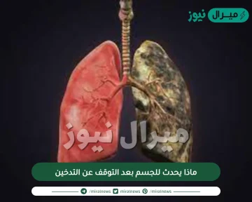 ماذا يحدث للجسم بعد التوقف عن التدخين