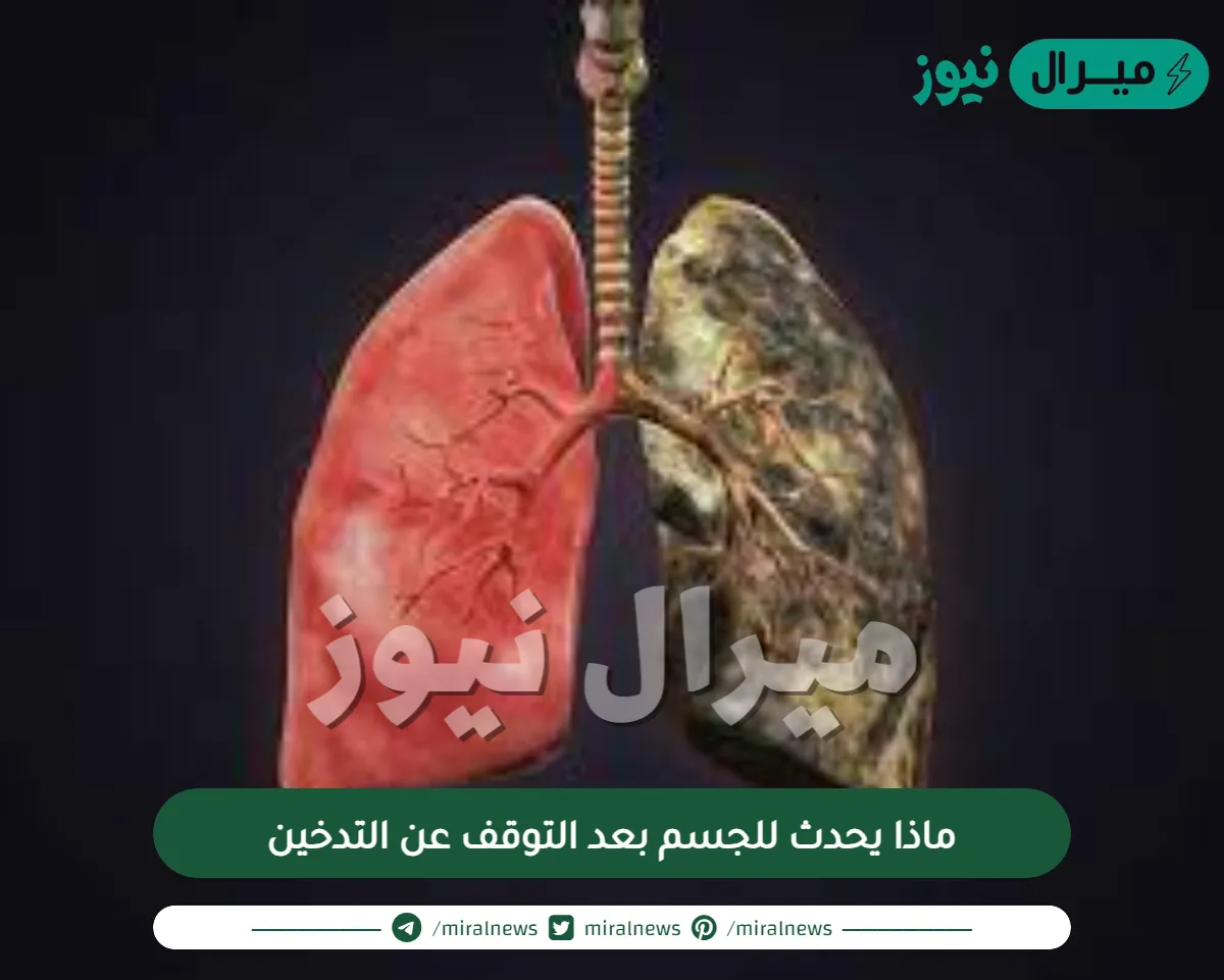 ماذا يحدث للجسم بعد التوقف عن التدخين