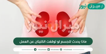 ماذا يحدث للجسم لو توقفت الكليتان عن العمل