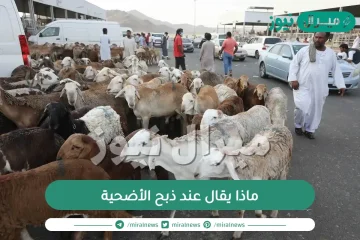 ماذا يقال عند ذبح الأضحية