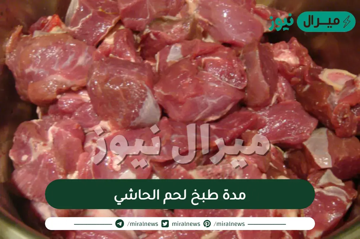 مدة طبخ لحم الحاشي