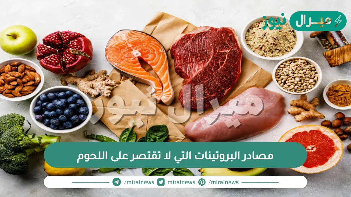 مصادر البروتينات التي لا تقتصر على اللحوم