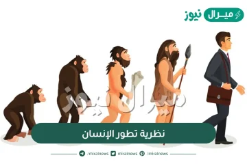 اكتشاف جديد يعيد النظر في نظرية تطور الإنسان